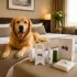 Přijeďte i se svým psem. Interhotel Zlín je dog friendly.